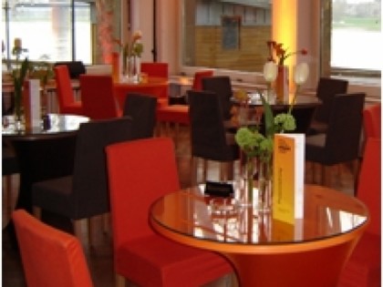 Foto: Rheinterrasse
